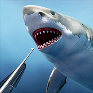 貓貓賣萌官方全集《藥師少女的獨語》貓之日特別宣傳片曝光