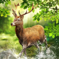 这是个日常世界，只是存在着诡异。刚穿越来的林太东，收到